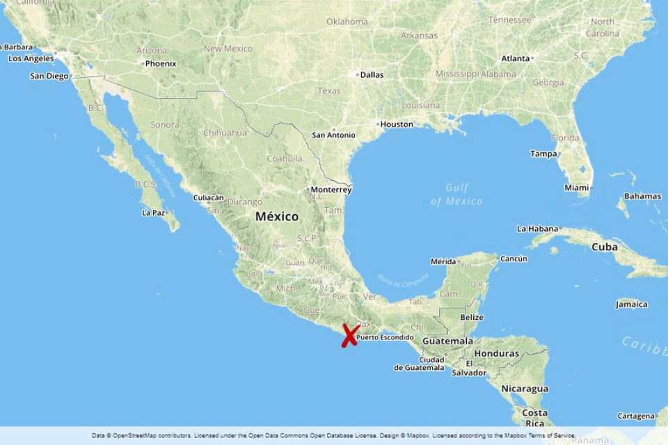 Attacken ägde rum i San Vicente Coatlán i delstaten Oaxaca i södra Mexiko.