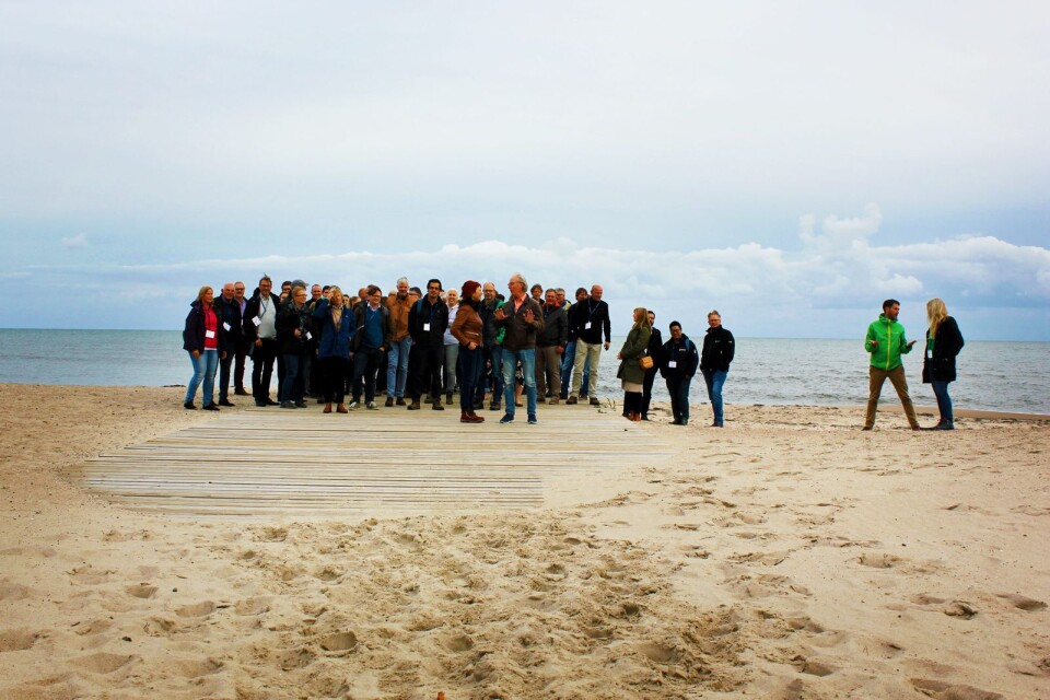 En av aktiviteterna under konferensen var en strandpromenad längs med stranden i Sandskogen.