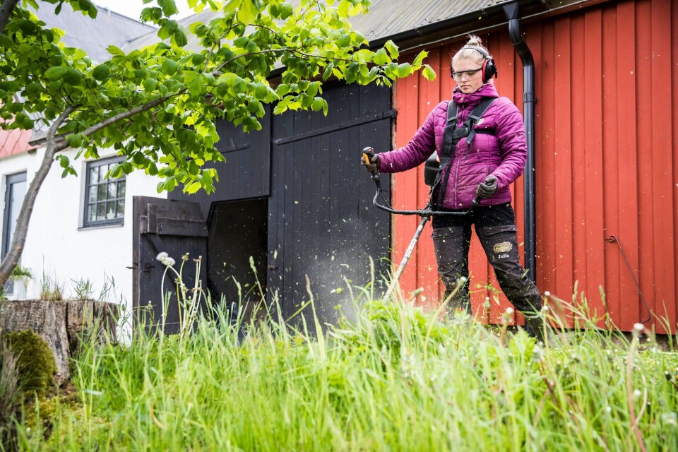 Julia Lindskog trimmar gräset.