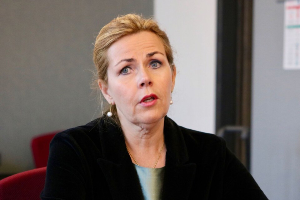 Cecilia Wikström (L) - EU-parlamentariker.
