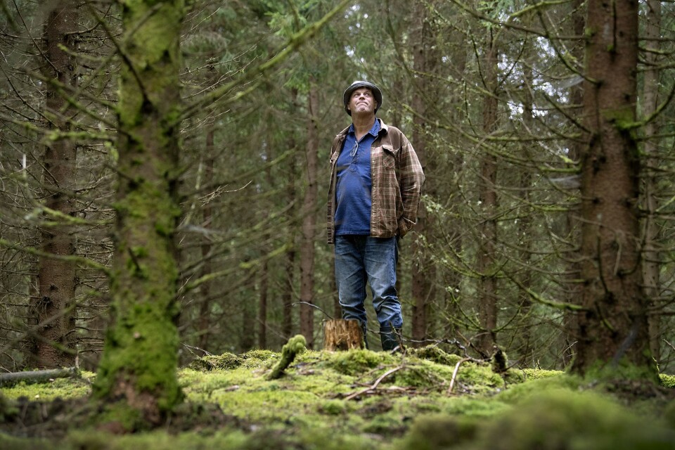 Karl-Johan Jansson vill att skogsägarna ska få betalt för att leverera naturvård på liknande sätt som de får betalt för ett leverera virke.