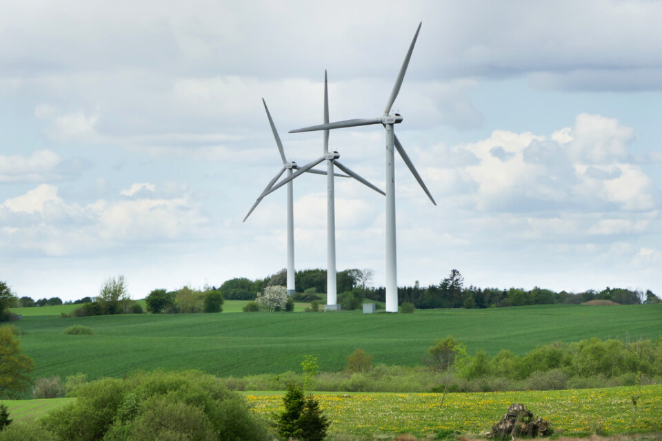 Danmark är en stormakt inom vindkraft, med tillverkare som Vestas. Här några vindturbiner vid Billund på Jylland. Arkivbild.