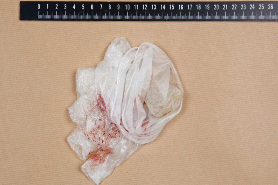 Plasthandskar innehållande bland annat blod hittades i anslutning till brottsplatsen. NFC:s analys talar ”extremt starkt” för att dna från de båda misstänkta har säkrats.