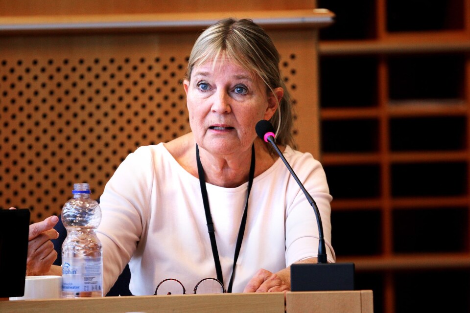 Marita Ulvskog (S) valdes till EU-parlamentet 2009 och avslutar till sommaren sin andra och sista mandatperiod.