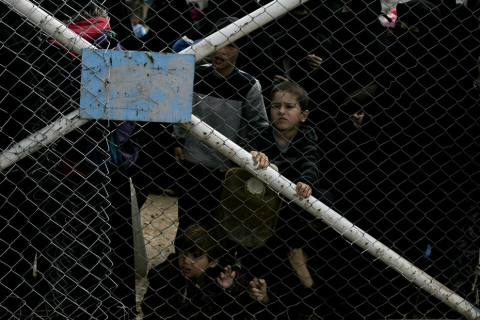 På bilden syns barn som tittar genom stängslet till sektionen för utländska familjer i al-Hol-lägret i Syrien. Personerna på bilden har ingen koppling till artikeln. Arkivbild.