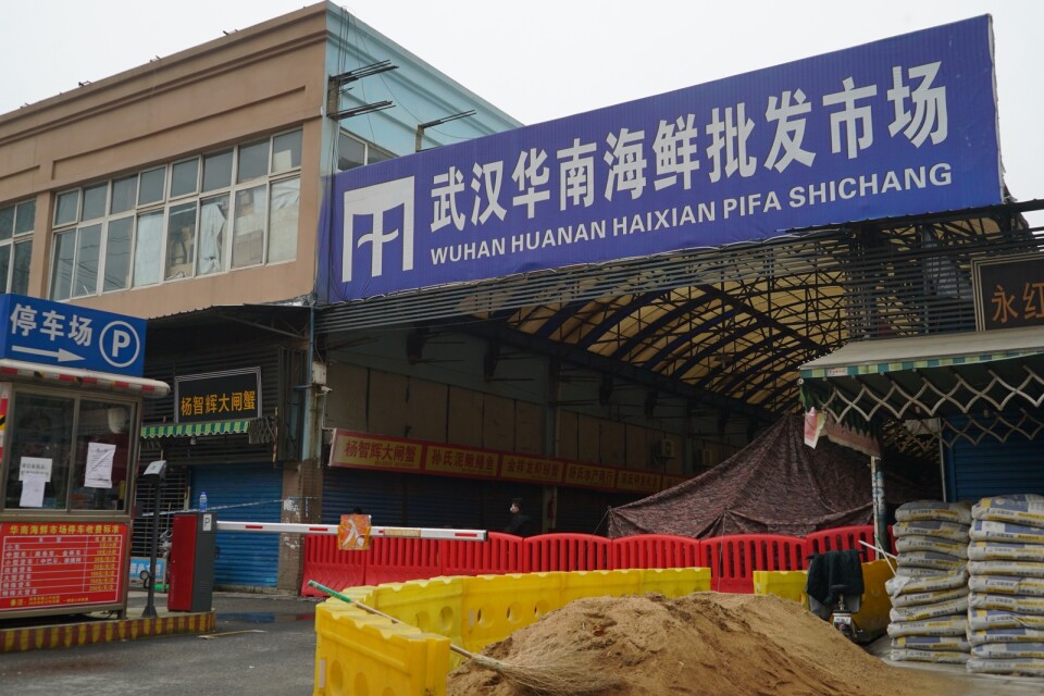 Den misstänkta fiskmarknaden i Wuhan, där det även såldes vilda djur. Men nu vill Kinas regering förhandsgranska forskning om coronavirusets källa. Arkivbild.