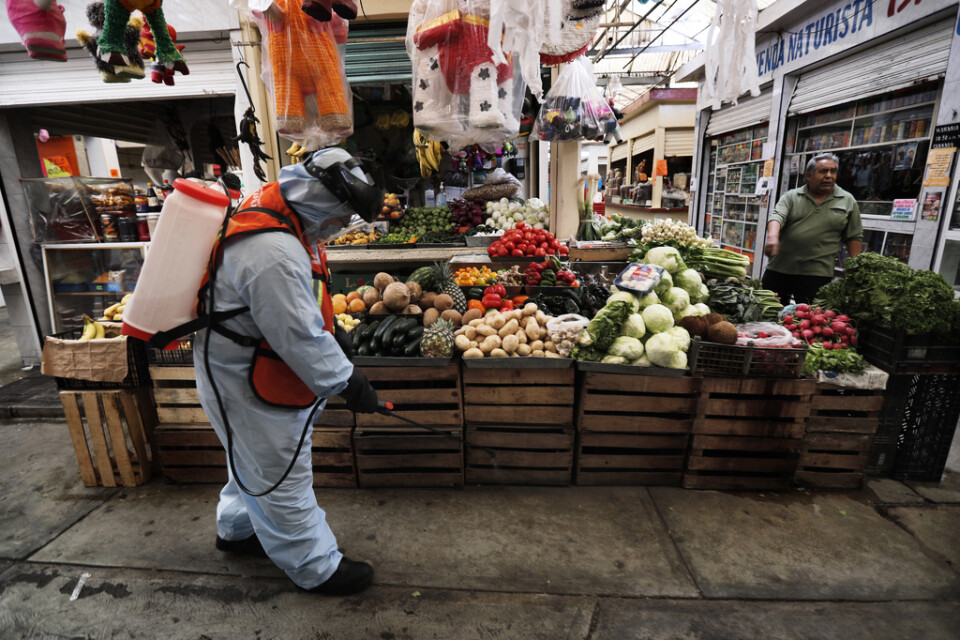 Desinfektion av en marknad i Mexico City. Arkivbild.