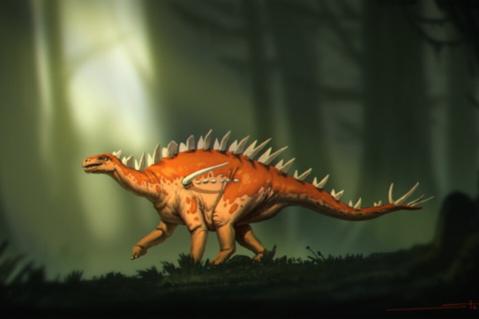 Så här kan den ha sett ut, den gamla stegosauriern.