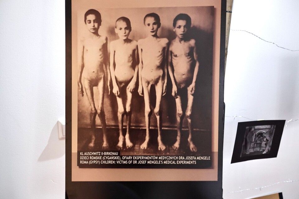 En del av utställningen om rasism fokuserar på Förintelsen.