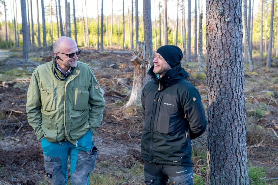 För första gången har Denny Rudén, vd på Dr Skog, blivit uppringd av svenska ungdomar som visat intresse för skogsjobb. Tillsammans med arbetsledare Cezary Skrzynski anlitar han framför allt polska skogsarbetare.