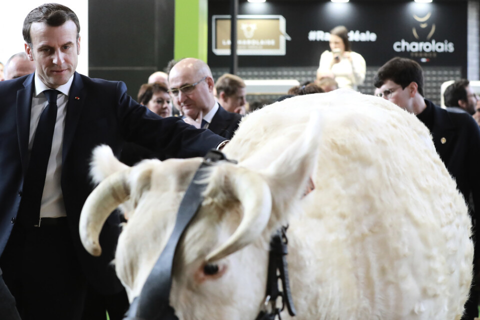 Frankrikes president Emmanuel Macron på plats på den årliga jordbruksmässan i Paris på lördagen.