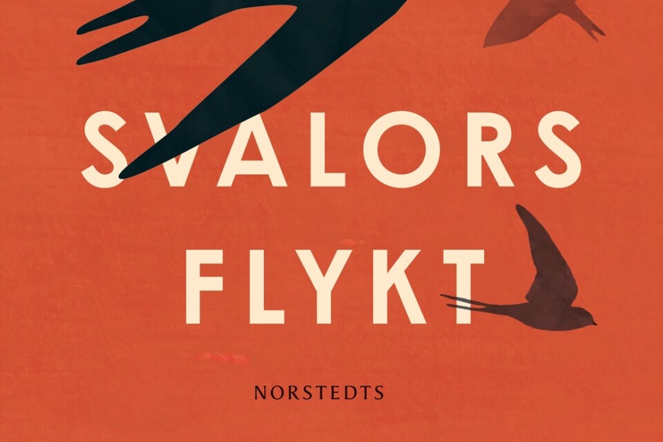 ”Svalors flykt” av Majgull Axelsson