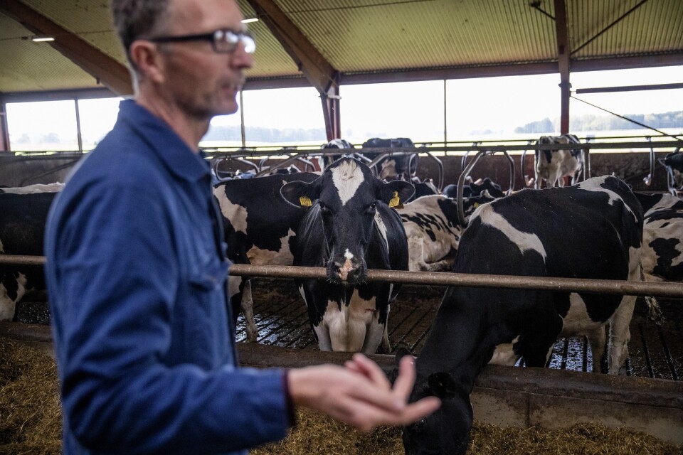 Per-Johan Påhlstorp vill helst fortsätta att producera ekologisk mjölk, men det håller inte längre ekonomiskt, konstaterar han.