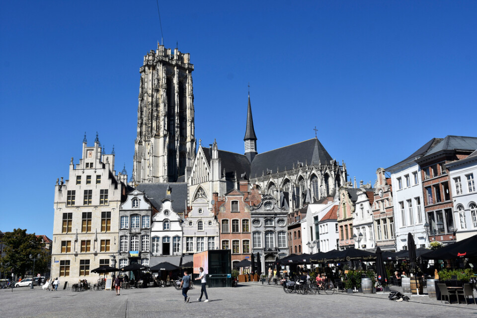 Över Groote markt - Stortorget - i Mechelen reser sig den mäktiga S:t Rumboldkatedralen, en gång i tiden byggd för att bli världens högsta. Pengabrist och rasrisk gjorde dock att tornet i stället fick sitt nu karaktäristiskt avhuggna utseende.