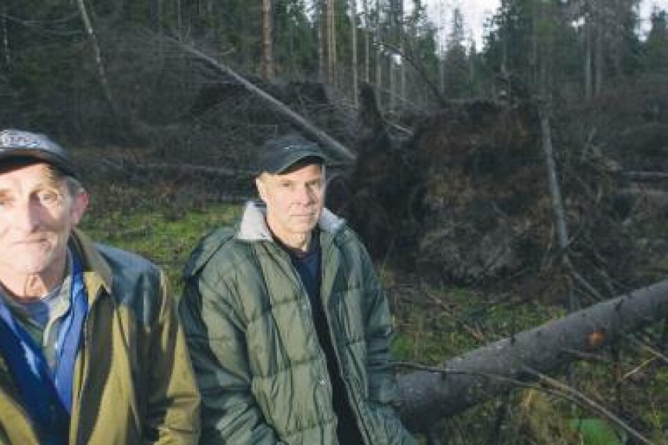 Foto:Bengt Pettersson Kan inte tiga. Arne Pettersson och Sigvard Salander menar att skogen i södra Flymens naturreservat missköts.