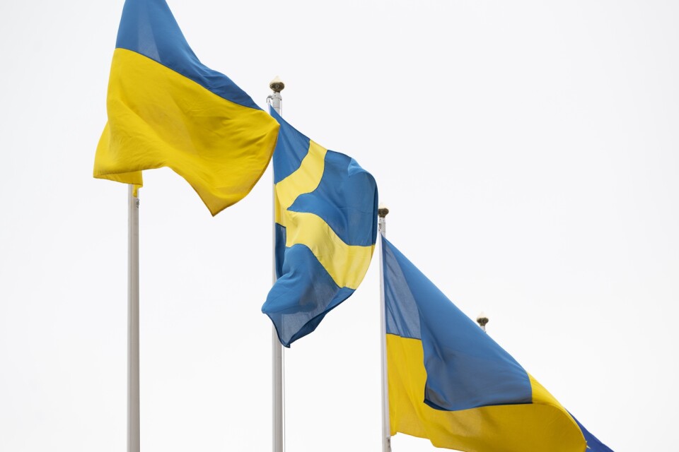 Ju längre kriget fortsätter desto större är sannolikheten att ukrainare stannar i Sverige.