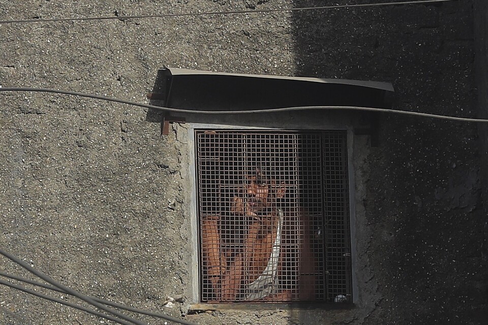 En man kikar ut från isoleringen i sitt hem i slumområdet Dharavi, i Bombay.