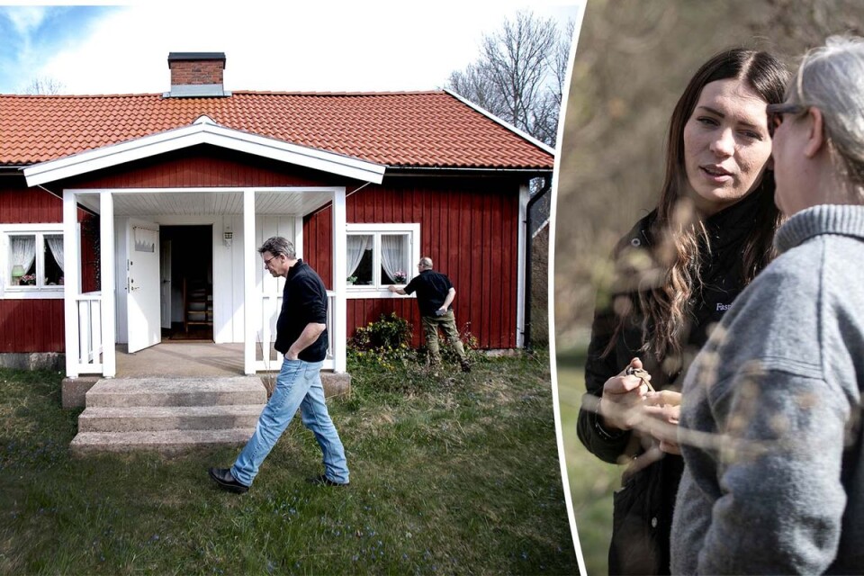 Därför rusar tyskar till husvisningar i Kalmar län: ”Större och friare”