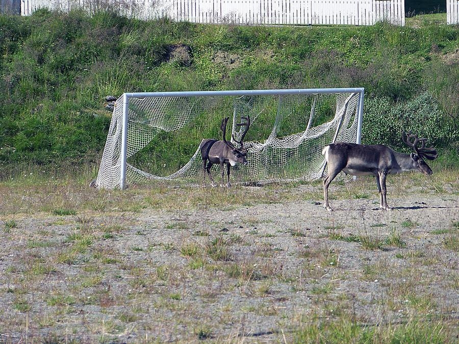 Detta är "ren" fotboll. Bilden tog Tommy Linderoth i Nordnorge.