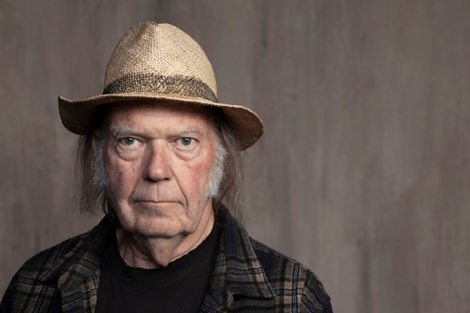 Neil Young. Arkivbild