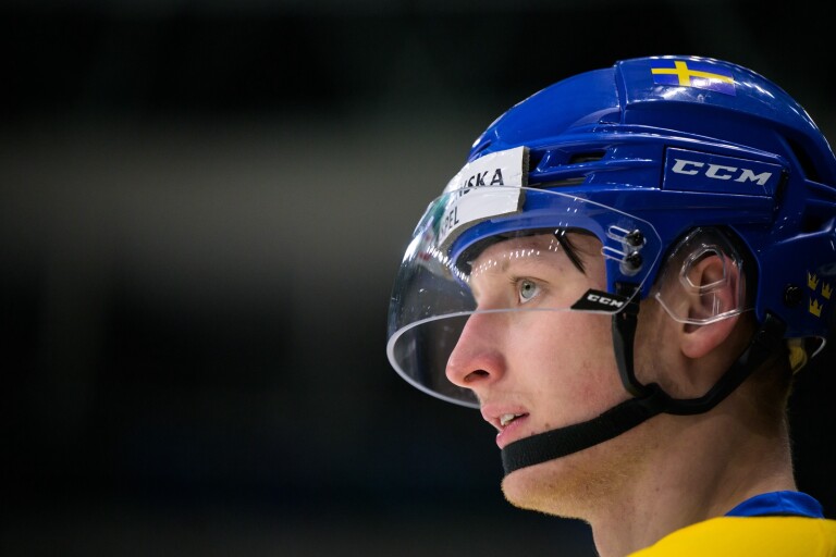 Ishockey: 19-årige trelleborgaren debuterade i JVM