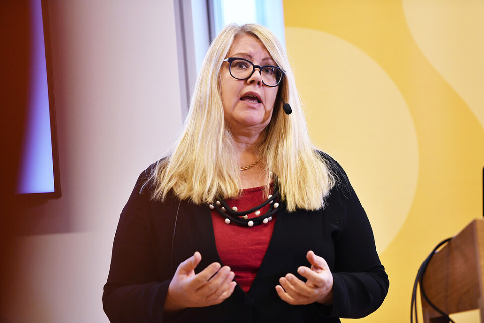 Annika Wallenskog, chefsekonom på SKL. Arkivbild.