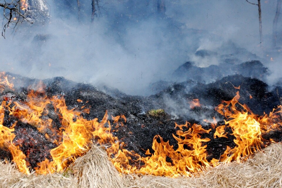Under påskhelgen har det vid ett tiotal tillfällen larmats om bränder i skog och mark. Foto: TT/Arkiv