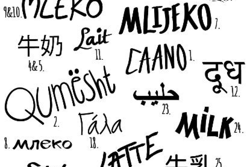 Så här ser mjölkpanelen ut med ordet mjölk på 28 språk. Foto: Arla