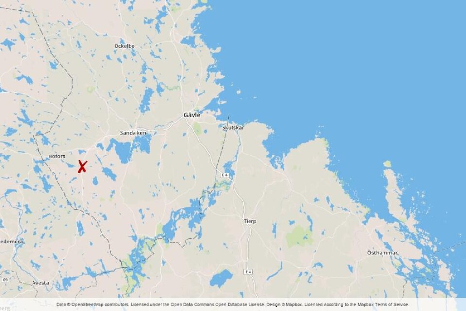 Resterna efter en död person har hittats i närheten av Torsåker i Gävleborgs län, skriver lokala medier. Kroppen som har hittats tros ha legat under en längre tid och det kan vara kvarlevorna efter en man som försvann i området för ungefär ett år sedan.