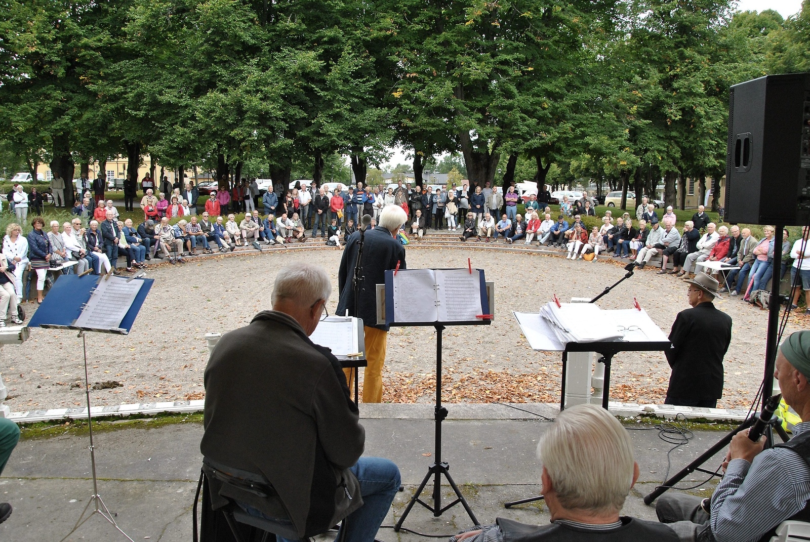 Protestmarsch för musikpaviljongen i Officersparken. Peter Alf