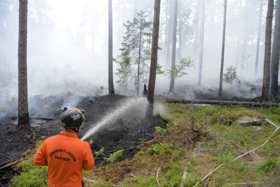 Michael Andersson från Möklinta brandkår bekämpar skogsbranden vid Ulvsbo nordväst om Sala.