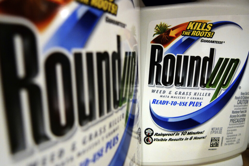 Stämningarna för cancer orsakad av Roundup härrör från amerikanska Monsanto, som Bayer tog över 2016. Arkivbild.