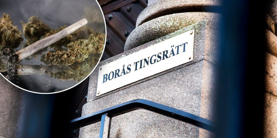 Bara tre månader efter senaste domen vid Borås tingsrätt döms 19-åringen för ny brottslighet.
