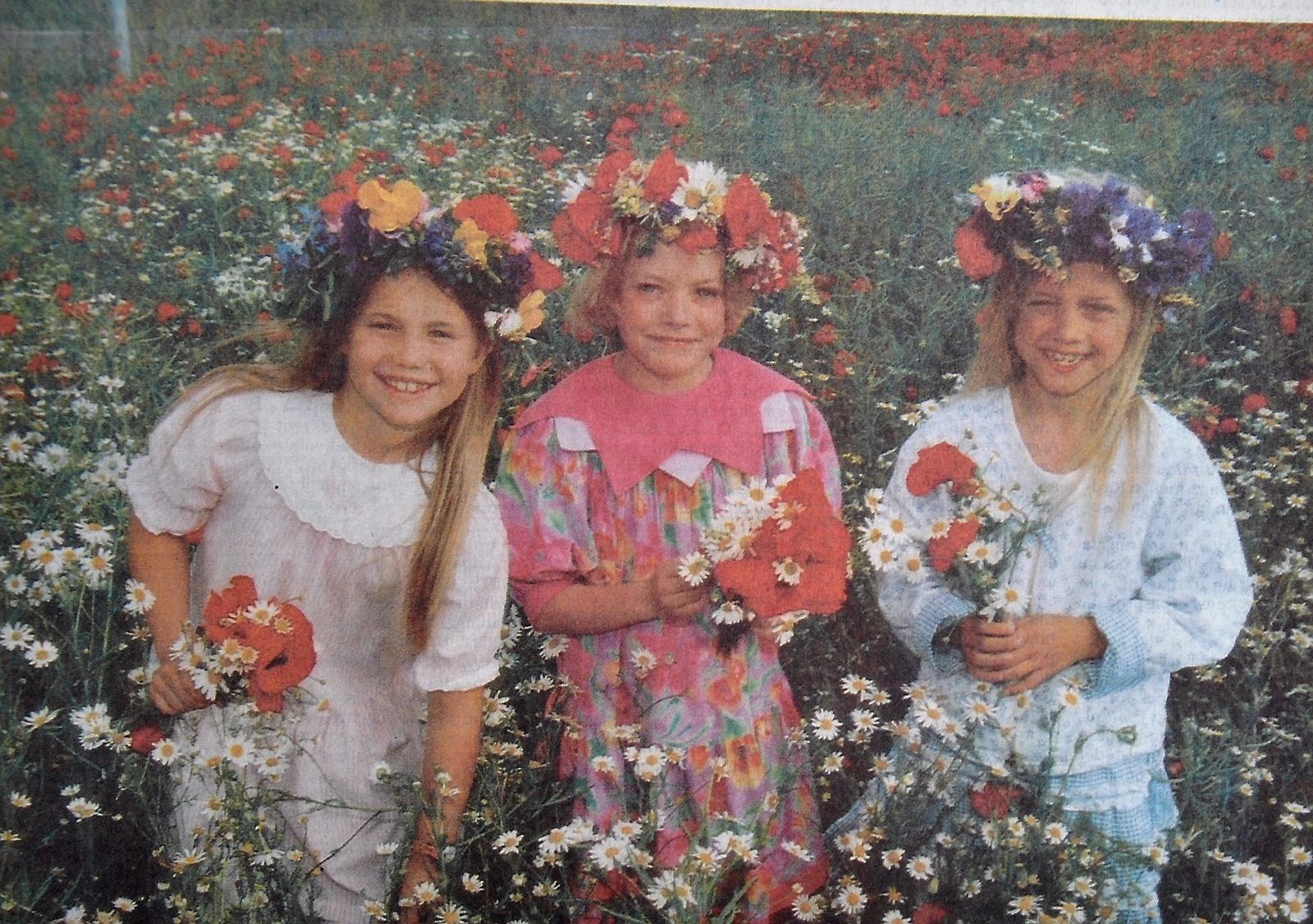 Till midsommar ska du plocka blommor och binda en krans. Det är just vad Sofie, Diana och Pernilla gör. 
Arkiv: Åke Ljungberg