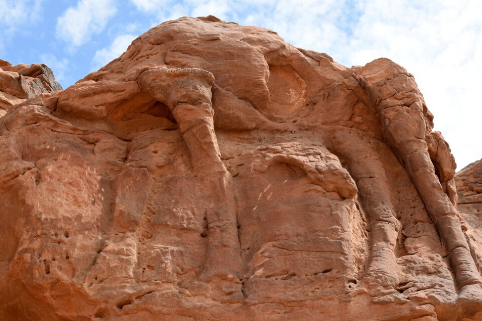 Kamelerna på klippväggarna i öknen är flera tusen år äldre än man tidigare trott.