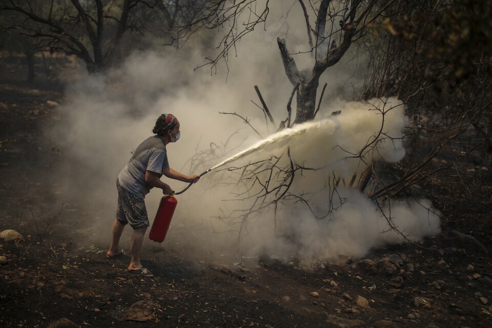 Med brandsläckare, hinkar och slangar försöker invånarna försvara sig mot branden i Turkiet.