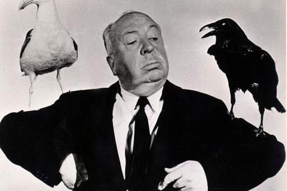 För 105 år sedan, 1899, föddes filmskaparen Alfred Hitchcock i London. Han har gjort sig känd som filmens häxmästare för sina legendariska kriminalfilmer och rysare. Hans "Psycho" 1960 och "Fåglarna" 1963 blev tongivande för thrillergenren. Bild: Pressens Bild
