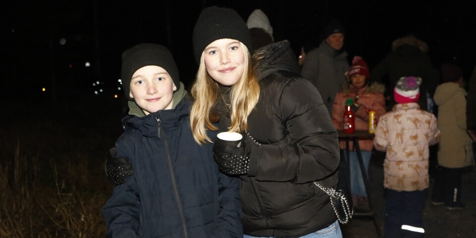 Kusinerna Tage Henricson, Hökerum och Linn Pritz, Göteborg, tyckte lotteriet var det roligaste på Julpromenaden.