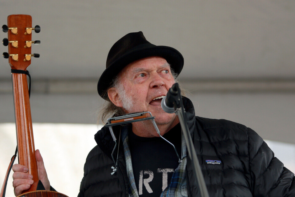 Neil Young vid en demonstration mot skövling av urskog i Kanada i februari i år. Arkivbild.