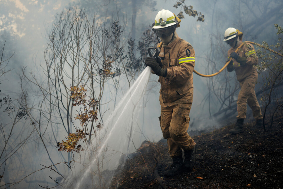 Tusentals brandmän i Portugal bekämpar bränderna.