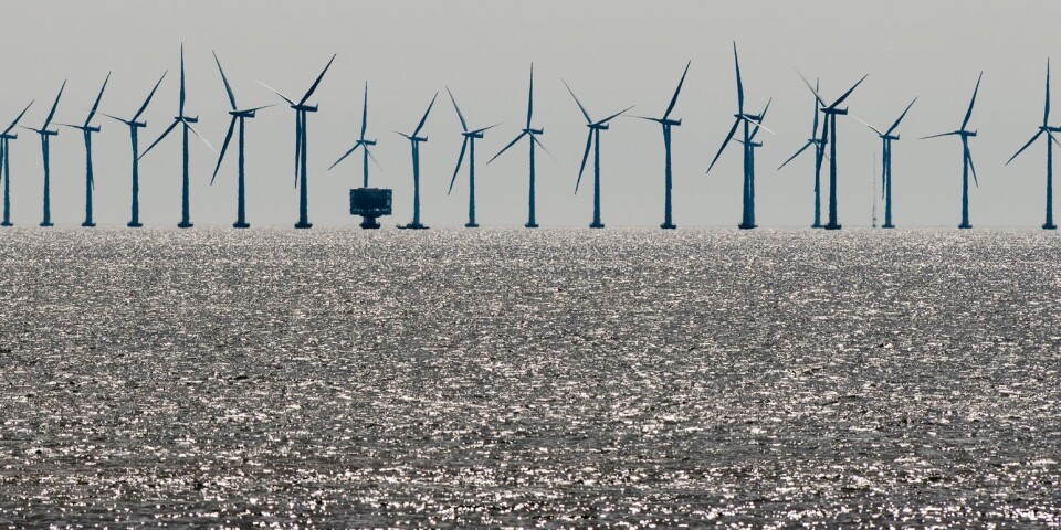 Projektet är helt enkelt inte hållbart, skriver representanter för föreningen Rädda sydkusten om planerna på vindkraft utanför kusten mellan Abbekås och Smygehamn. Bilden är från Lillgrund i Öresund.