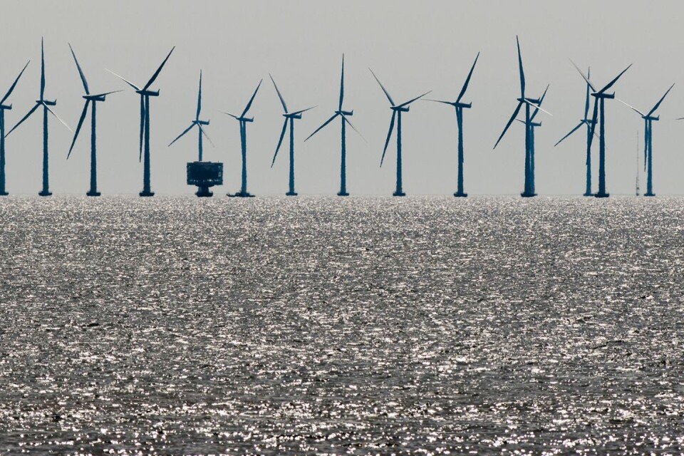 Projektet är helt enkelt inte hållbart, skriver representanter för föreningen Rädda sydkusten om planerna på vindkraft utanför kusten mellan Abbekås och Smygehamn. Bilden är från Lillgrund i Öresund.