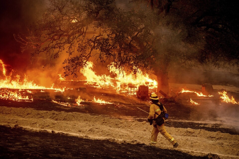 En brandman bekämpar lågorna i vinregionen i närheten av Calistoga i Kalifornien. Bilden är från den 1 oktober.