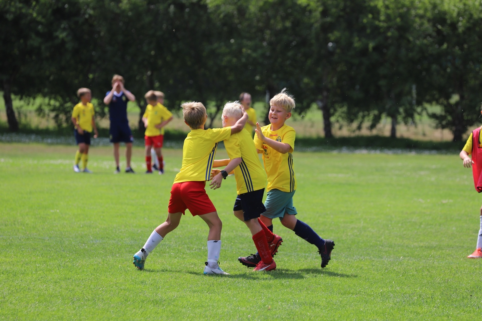 Fotbollsskola Tallhöjden 2023