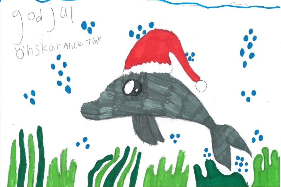 Alice Karlsson, 7 år i Växjö har ritat en delfin med tomteluva. Det är viktigt att tänka på djuren.