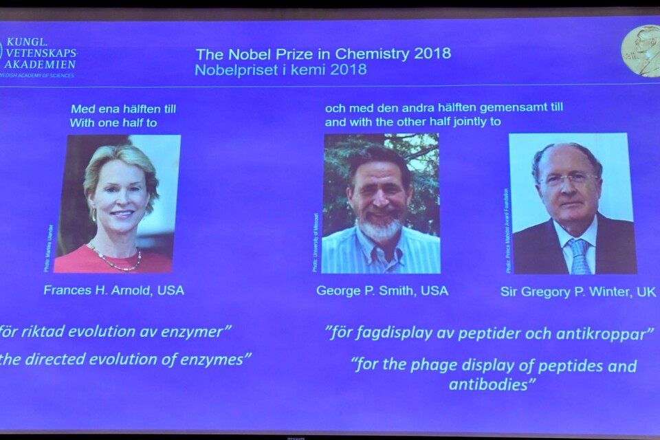 Årets Nobelpristagare i kemi Frances Arnold, George Smith and Sir Gregory Winter presenterades vid Kungliga Vetenskapsakademien.
