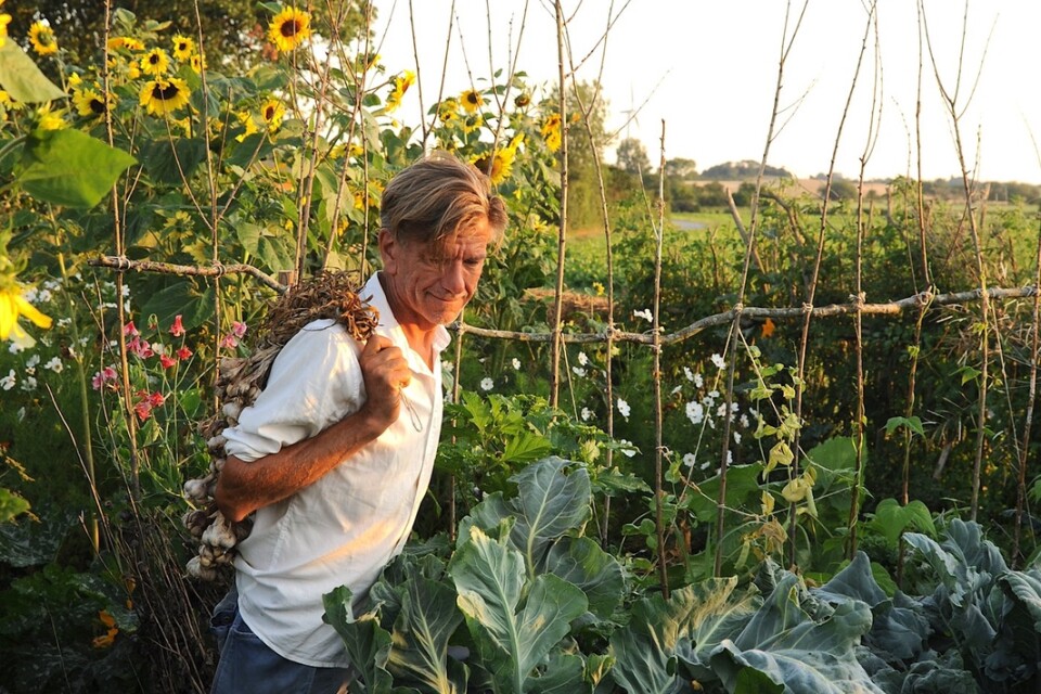 Efter drygt 30 år i Kinnekulle började mat- och trädgårdsinspiratören Hannu Sarenström om i danska Langeland 2017. Om detta berättar han i sin bok "Det nya trädgårdslandet".