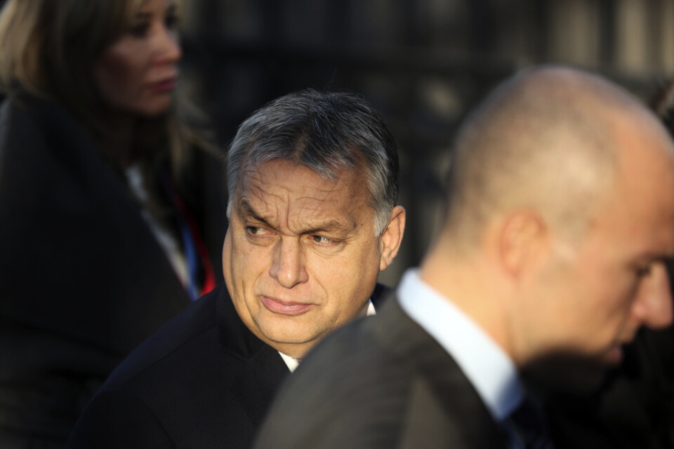 Ungerns premiärminister Viktor Orbán stängdes av från arbetet i EU-gruppen EPP i mars i år. Arkivbild.