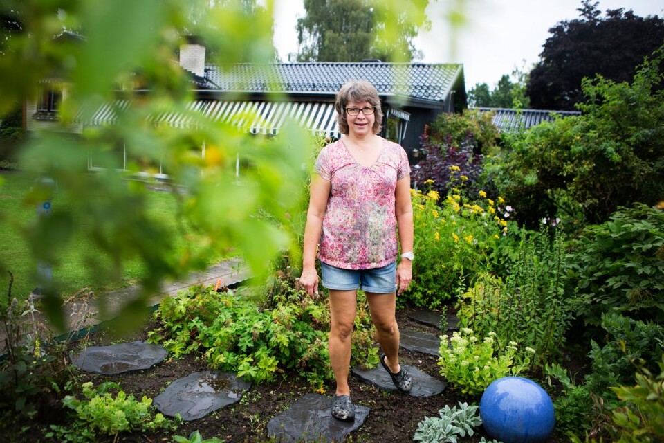 Innan semestern fick Karin Olsson sin efterlängtade 50-årspresent som hon nu kan njuta av. En anlagd trädgård. Foto: Malin Palm