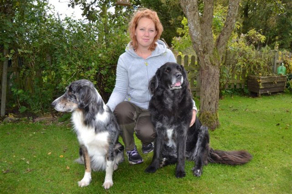 Sara Svanberg och hennes hundar.